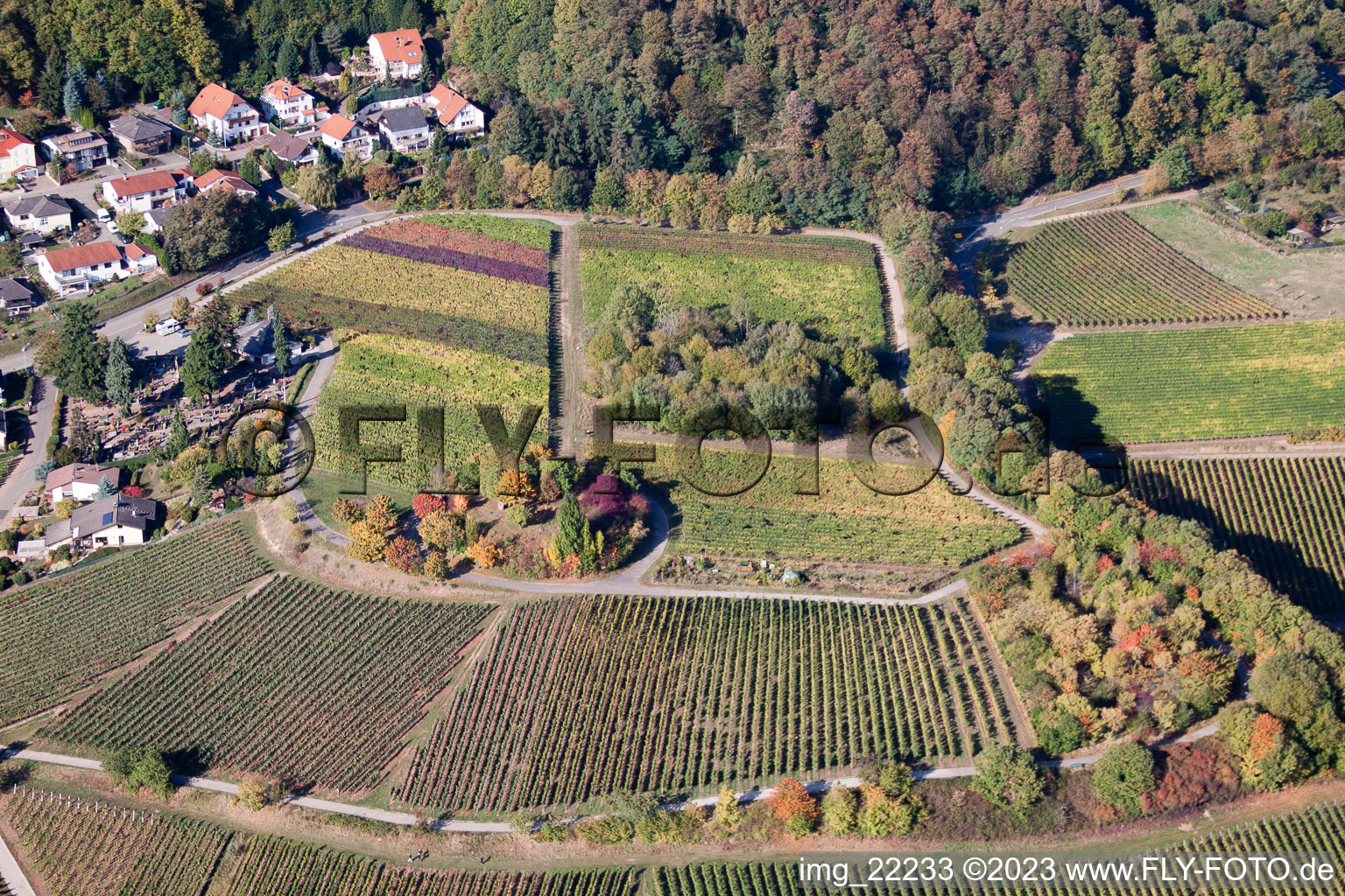 Drohnenbild von Burrweiler im Bundesland Rheinland-Pfalz, Deutschland