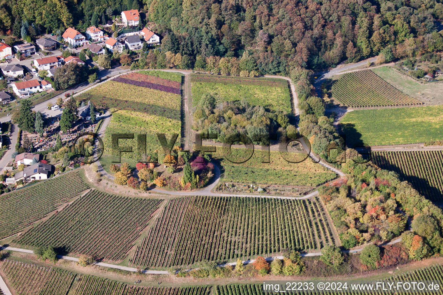 Drohnenaufname von Burrweiler im Bundesland Rheinland-Pfalz, Deutschland