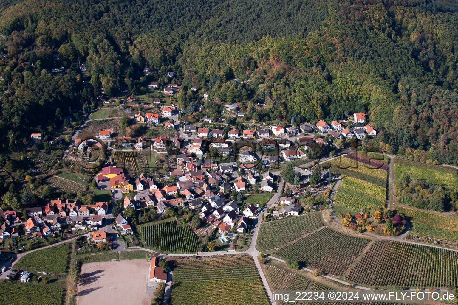 Drohnenbild von Burrweiler im Bundesland Rheinland-Pfalz, Deutschland