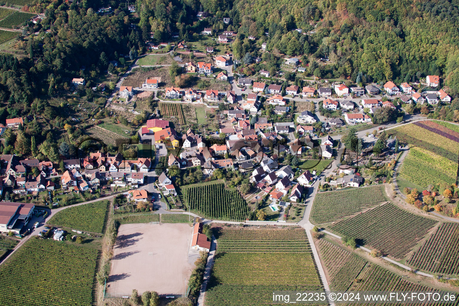 Burrweiler im Bundesland Rheinland-Pfalz, Deutschland aus der Drohnenperspektive