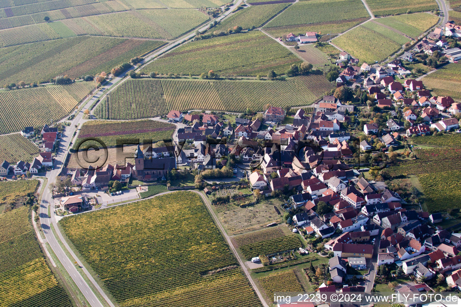 Schrägluftbild von Burrweiler im Bundesland Rheinland-Pfalz, Deutschland