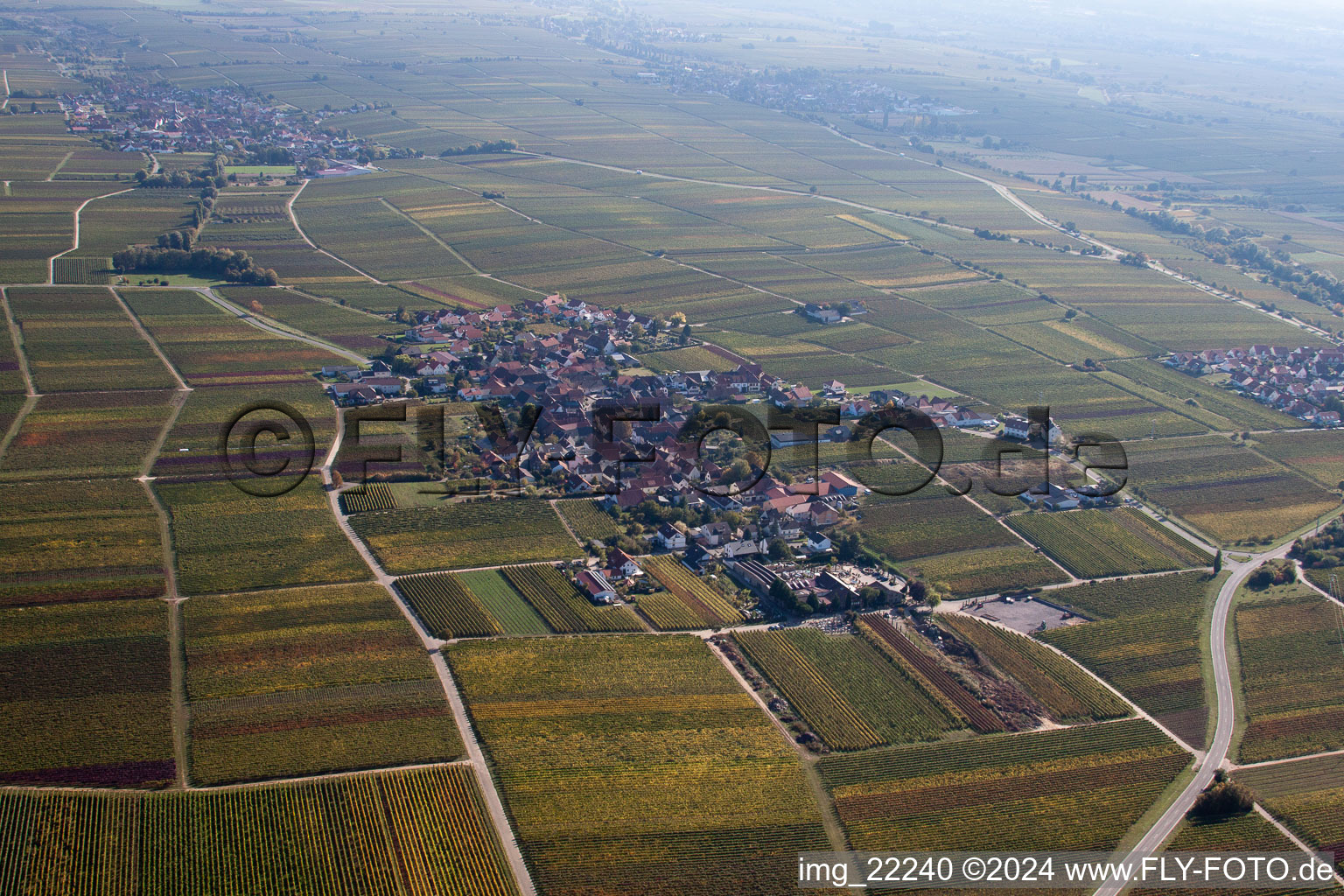 Luftbild von Dorf - Ansicht am Rande von Weinbergen in Flemlingen im Bundesland Rheinland-Pfalz, Deutschland