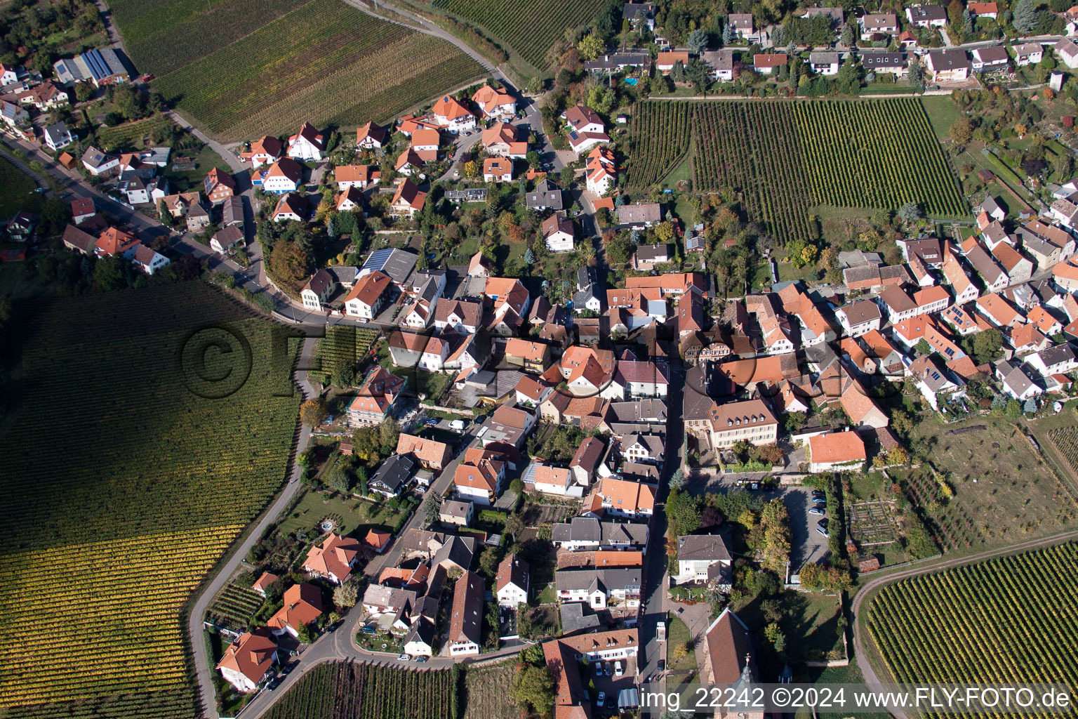 Schrägluftbild von Burrweiler im Bundesland Rheinland-Pfalz, Deutschland