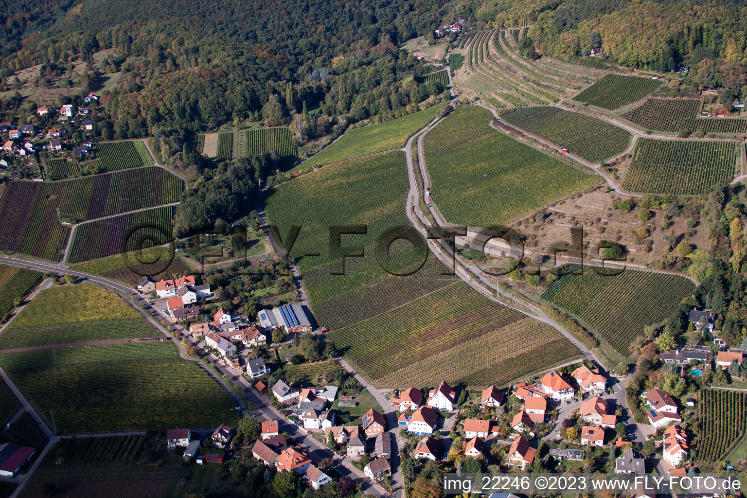 Burrweiler im Bundesland Rheinland-Pfalz, Deutschland aus der Vogelperspektive