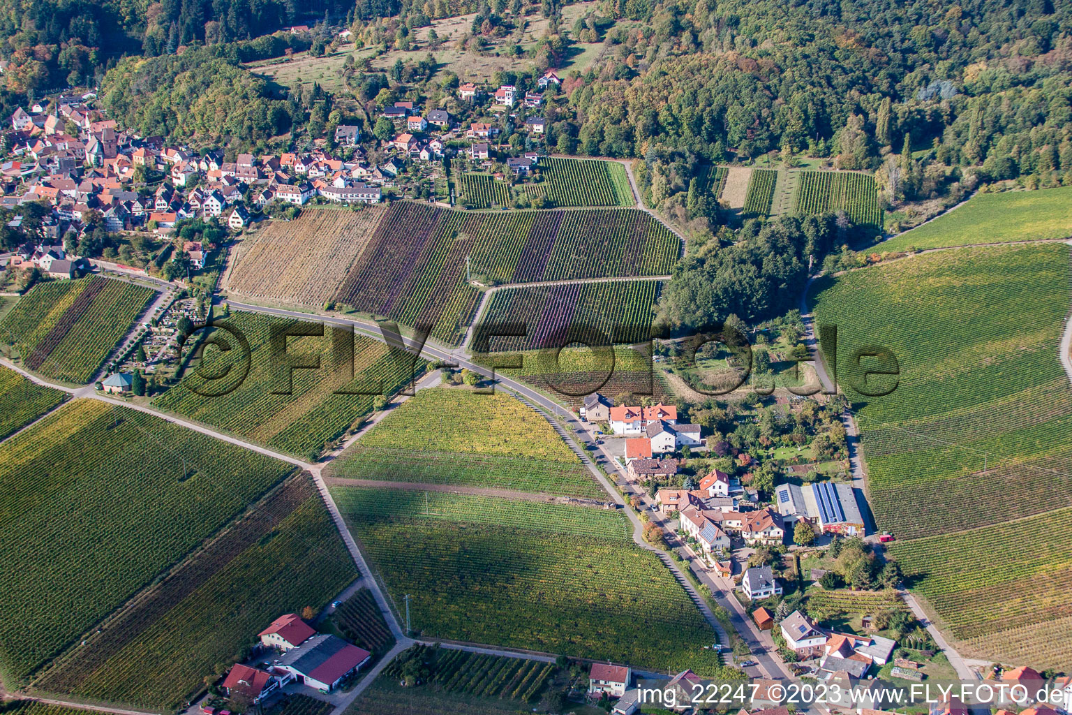 Burrweiler im Bundesland Rheinland-Pfalz, Deutschland aus der Luft betrachtet