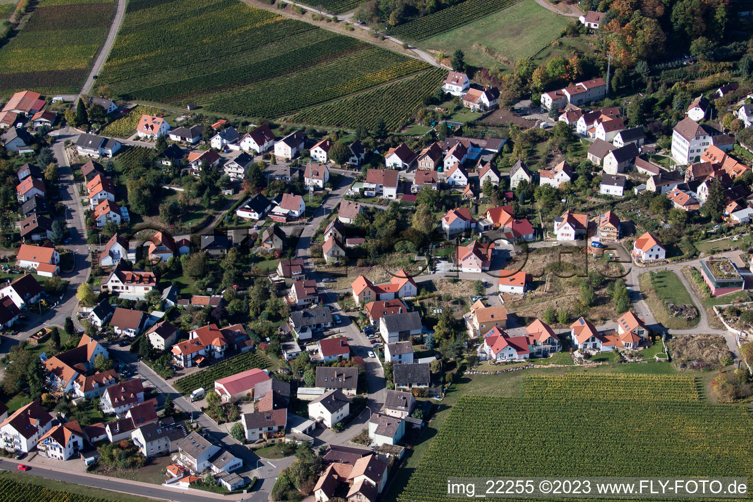 Gleisweiler im Bundesland Rheinland-Pfalz, Deutschland aus der Luft