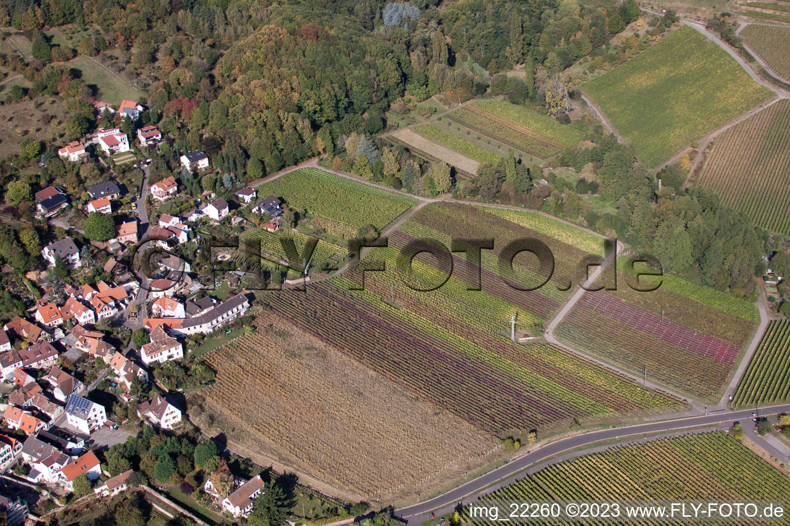 Gleisweiler im Bundesland Rheinland-Pfalz, Deutschland vom Flugzeug aus