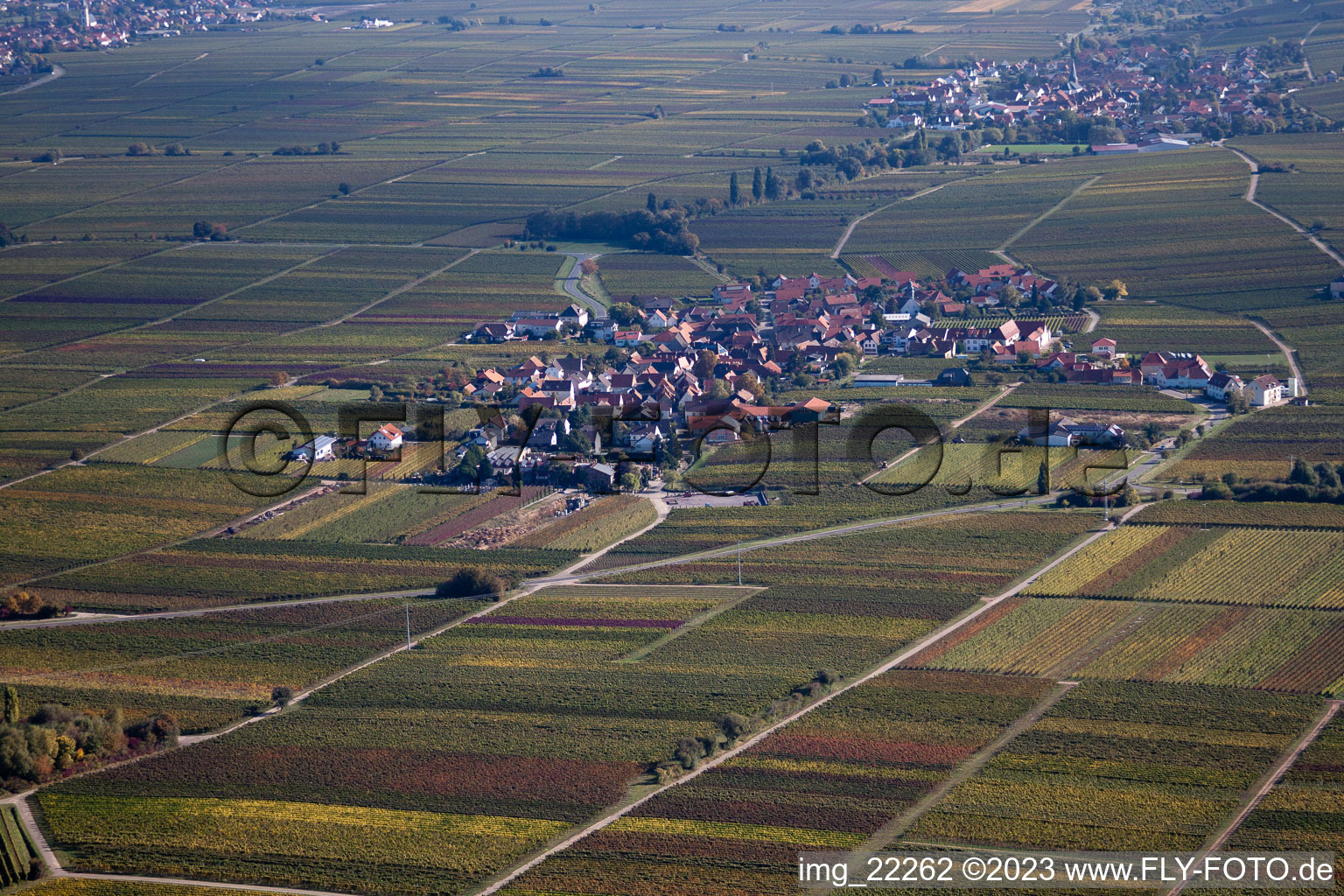 Flemlingen im Bundesland Rheinland-Pfalz, Deutschland aus der Luft betrachtet