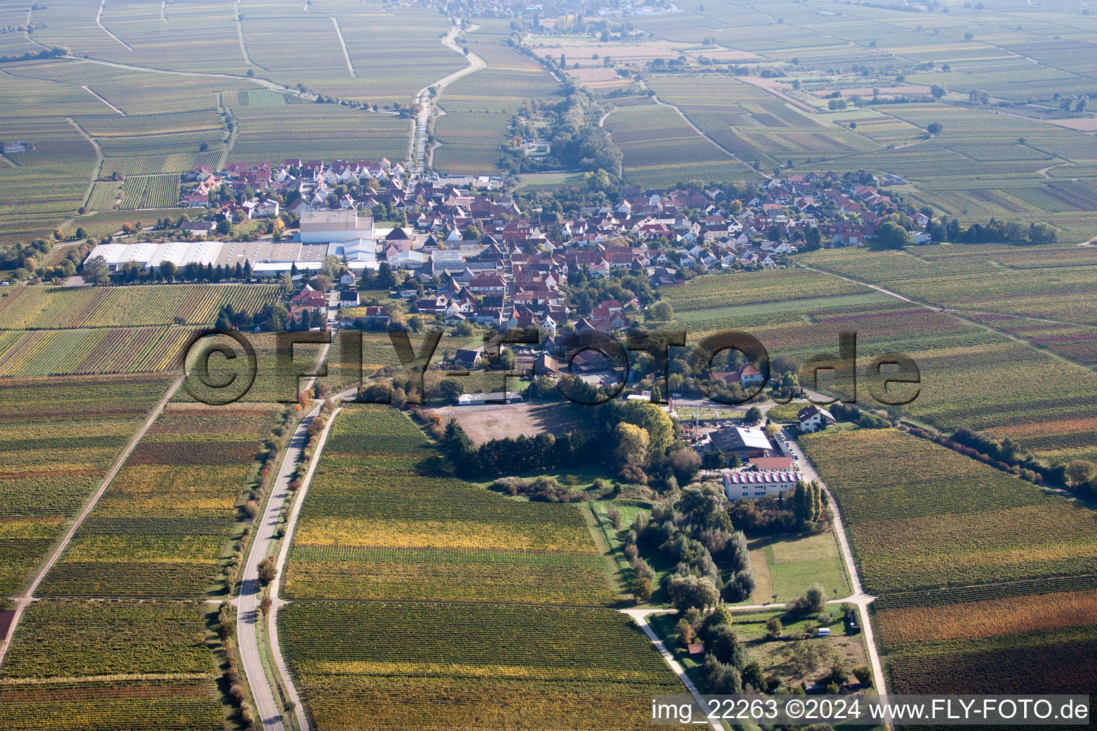 Luftbild von Ortsansicht der Straßen und Häuser der Wohngebiete in Böchingen im Bundesland Rheinland-Pfalz, Deutschland