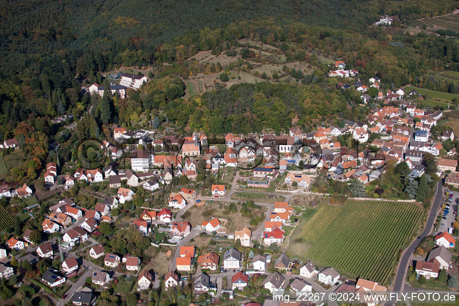 Schrägluftbild von Dorf - Ansicht am Rande von landwirtschaftlichen Feldern und Nutzflächen in Gleisweiler im Bundesland Rheinland-Pfalz, Deutschland