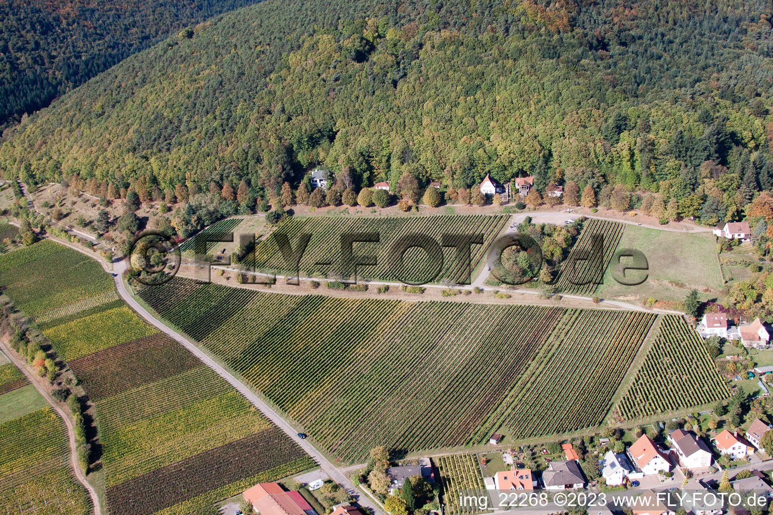 Drohnenbild von Gleisweiler im Bundesland Rheinland-Pfalz, Deutschland