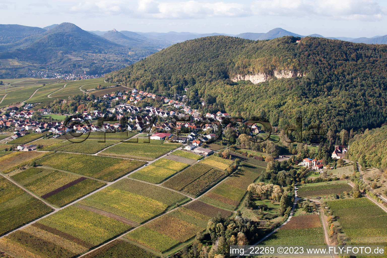 Frankweiler im Bundesland Rheinland-Pfalz, Deutschland aus der Luft betrachtet