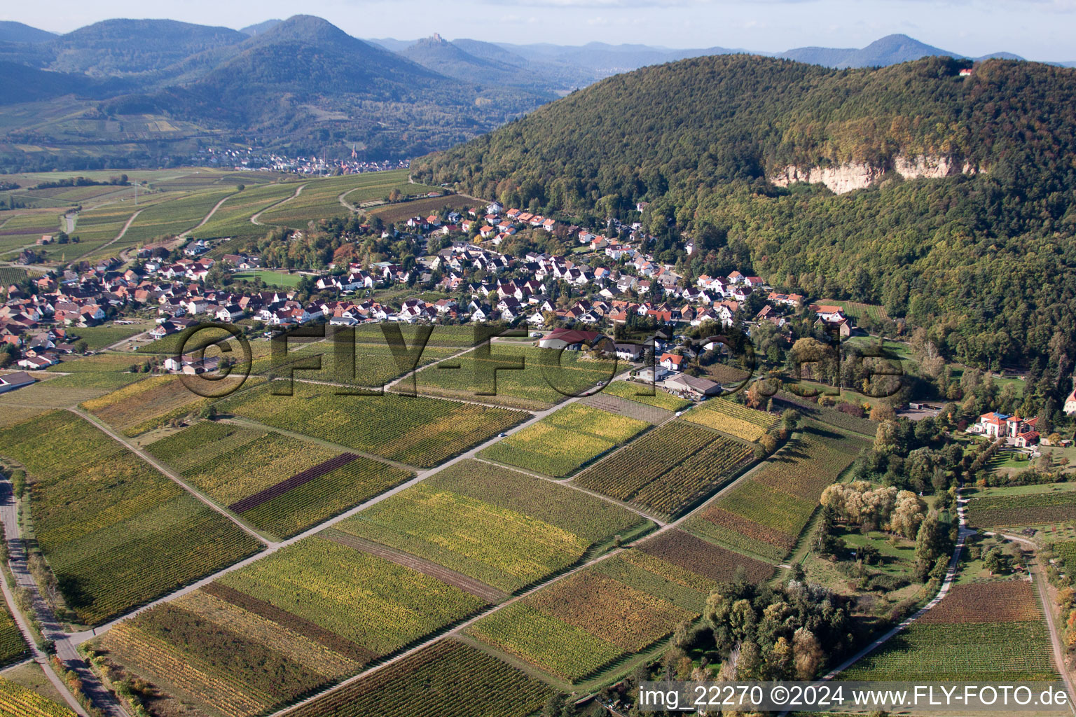 Luftbild von Dorf - Ansicht zwischen Pfälzerwald und Reben in Frankweiler im Bundesland Rheinland-Pfalz, Deutschland