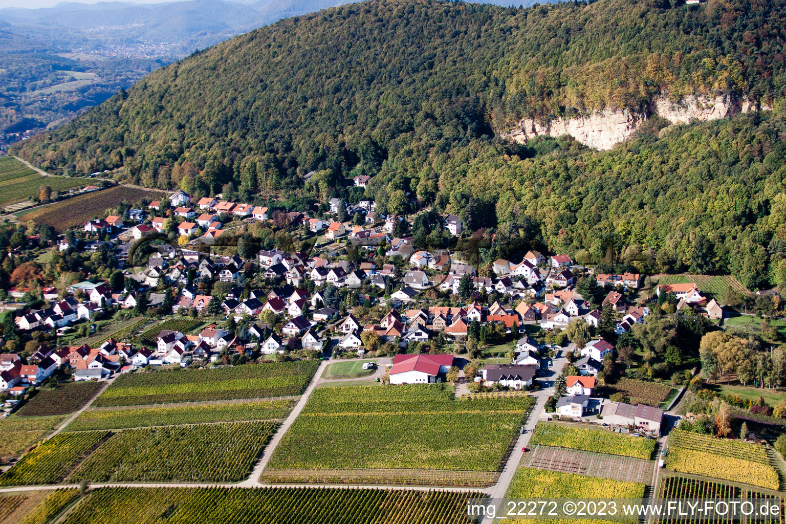 Drohnenbild von Frankweiler im Bundesland Rheinland-Pfalz, Deutschland