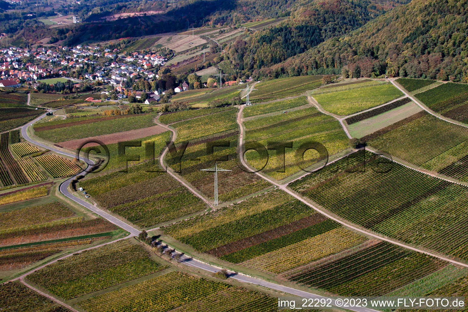 Drohnenbild von Albersweiler im Bundesland Rheinland-Pfalz, Deutschland