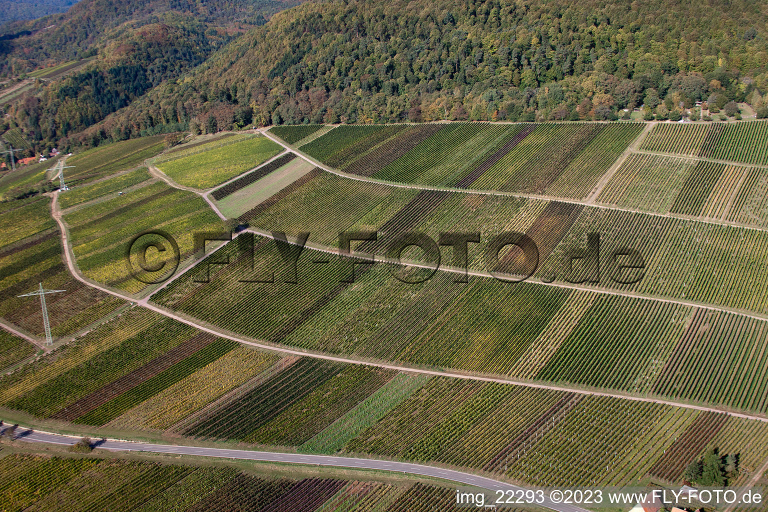 Albersweiler im Bundesland Rheinland-Pfalz, Deutschland aus der Drohnenperspektive