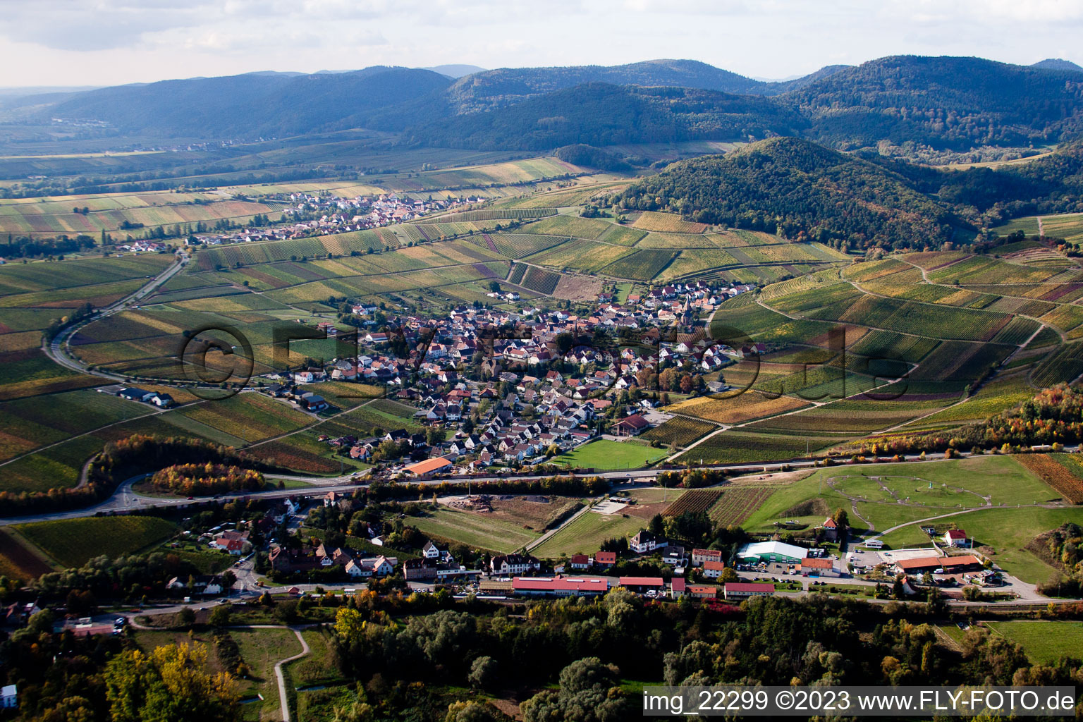 Birkweiler im Bundesland Rheinland-Pfalz, Deutschland aus der Vogelperspektive