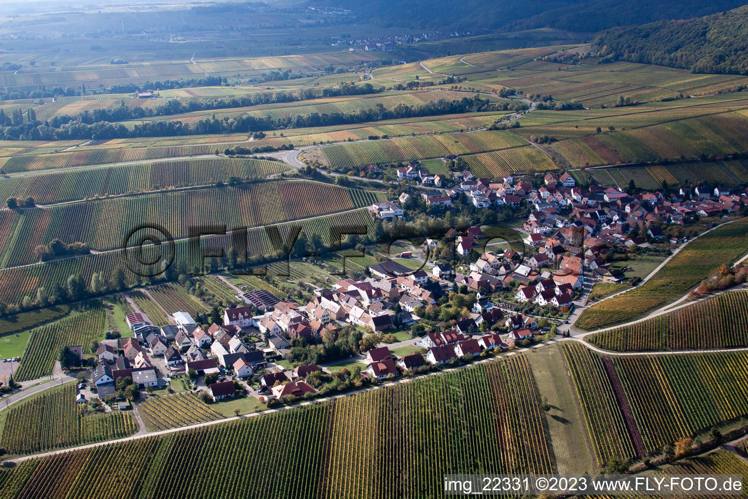 Luftaufnahme von Birkweiler im Bundesland Rheinland-Pfalz, Deutschland
