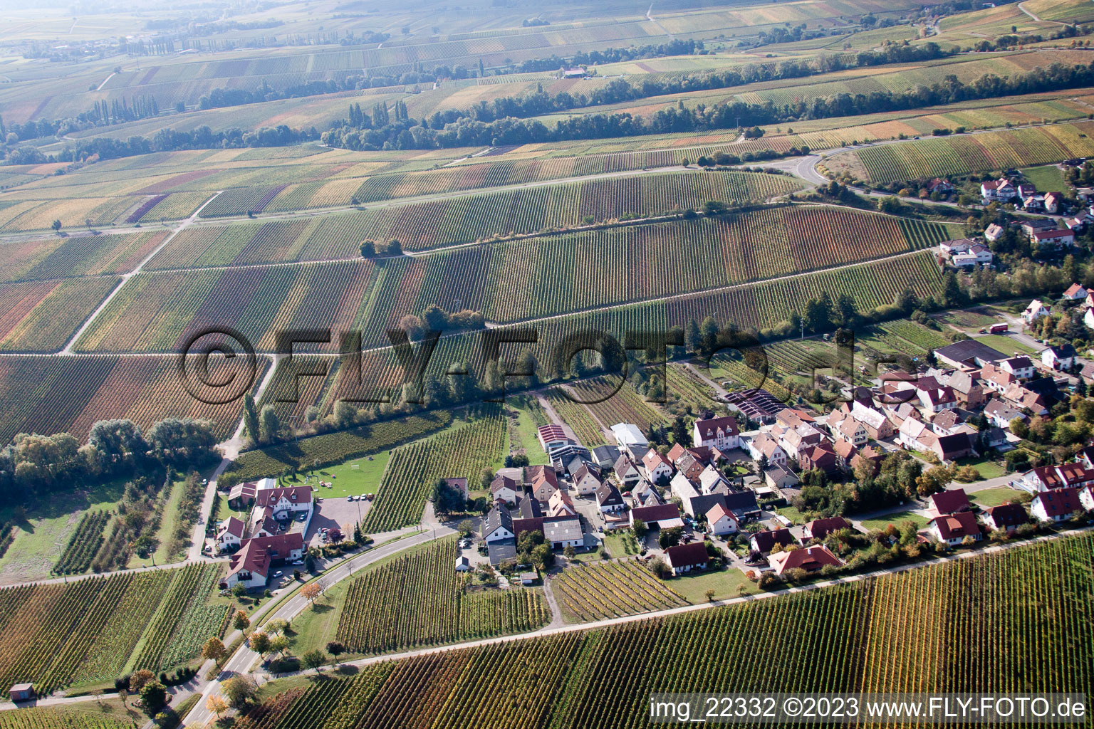 Schrägluftbild von Birkweiler im Bundesland Rheinland-Pfalz, Deutschland