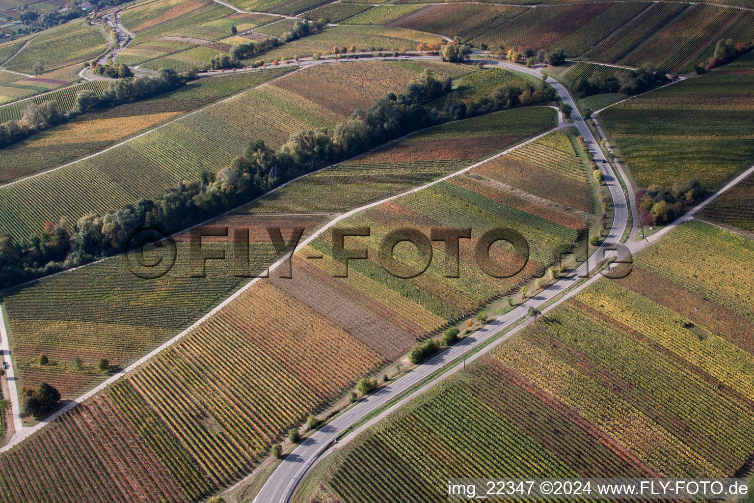 Luftbild von Weinberge am Fuchsgraben im Ortsteil Arzheim in Landau in der Pfalz im Bundesland Rheinland-Pfalz, Deutschland