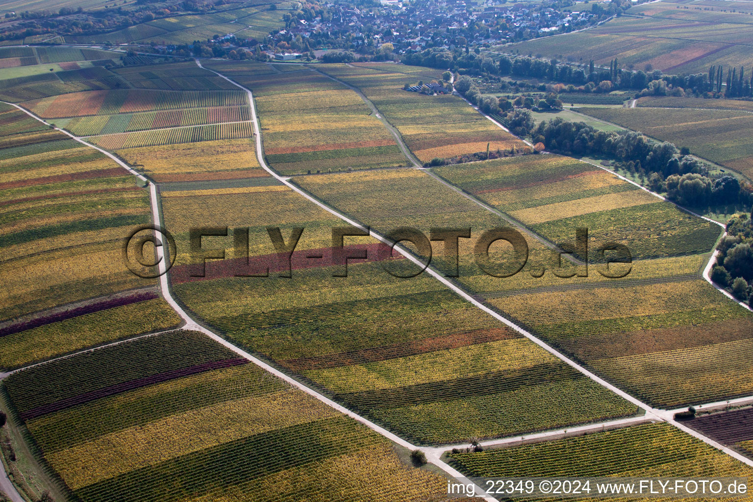 Luftbild von Weinberge am Ranschbachtal im Ortsteil Arzheim in Landau in der Pfalz im Bundesland Rheinland-Pfalz, Deutschland