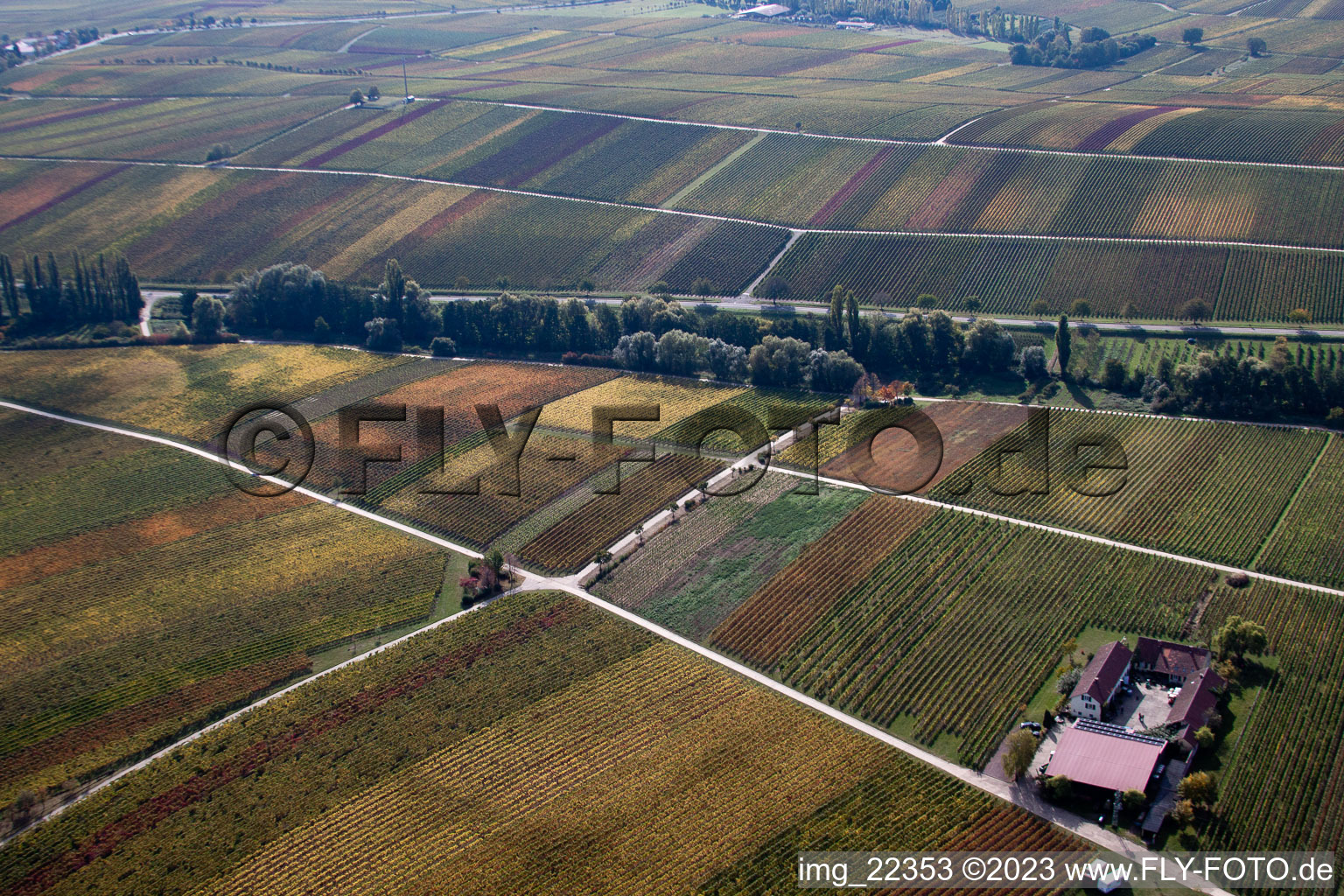 Ranschbach im Bundesland Rheinland-Pfalz, Deutschland von einer Drohne aus
