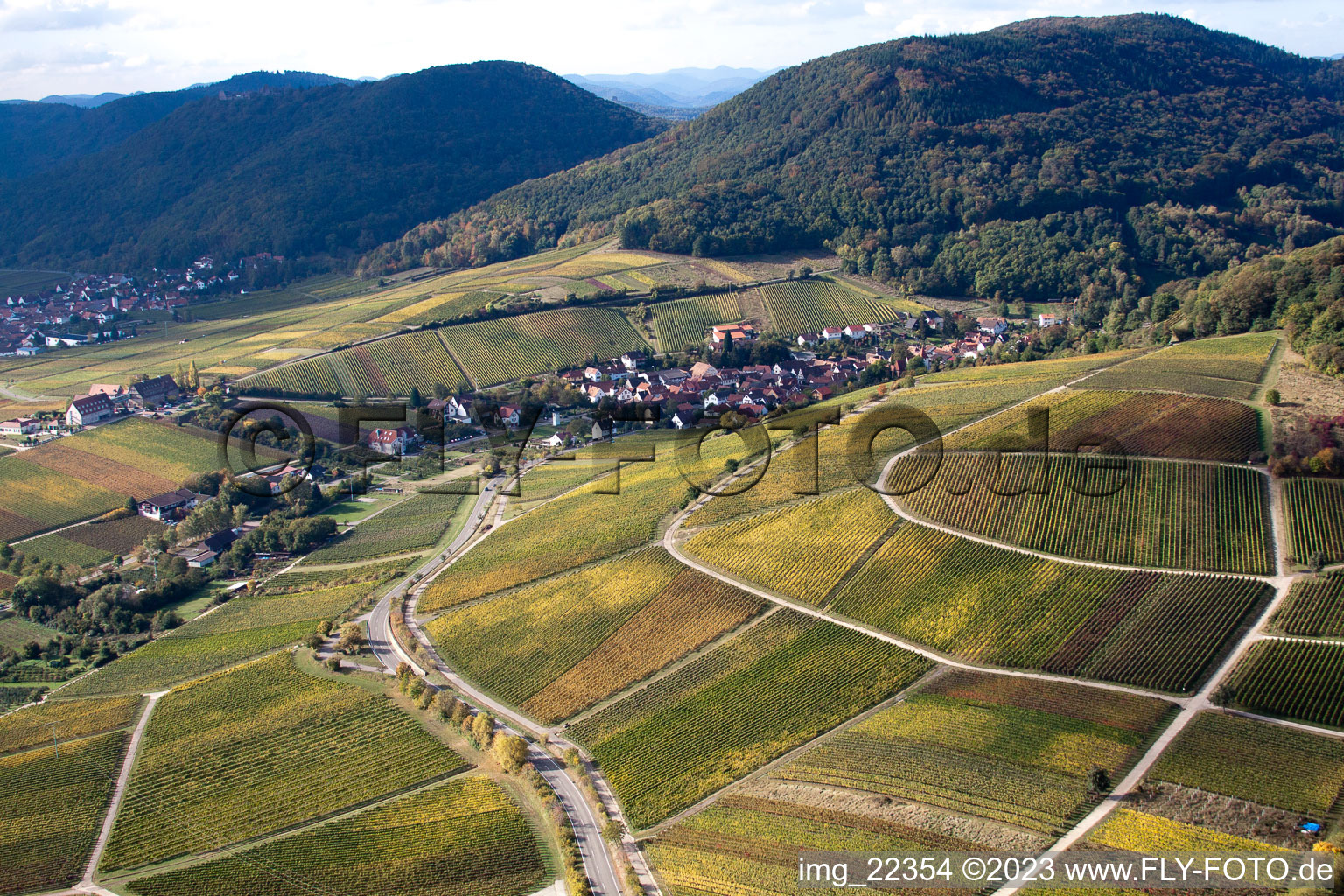 Luftaufnahme von Leinsweiler, Leinsweiler Hof im Bundesland Rheinland-Pfalz, Deutschland