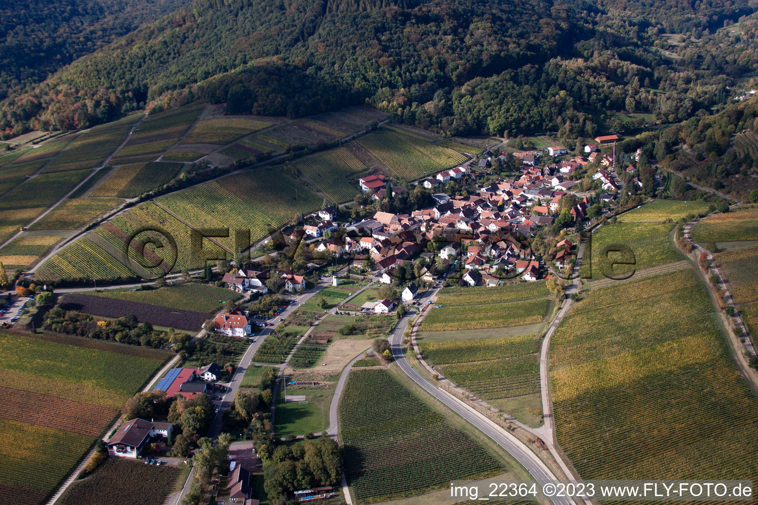 Leinsweiler im Bundesland Rheinland-Pfalz, Deutschland von einer Drohne aus