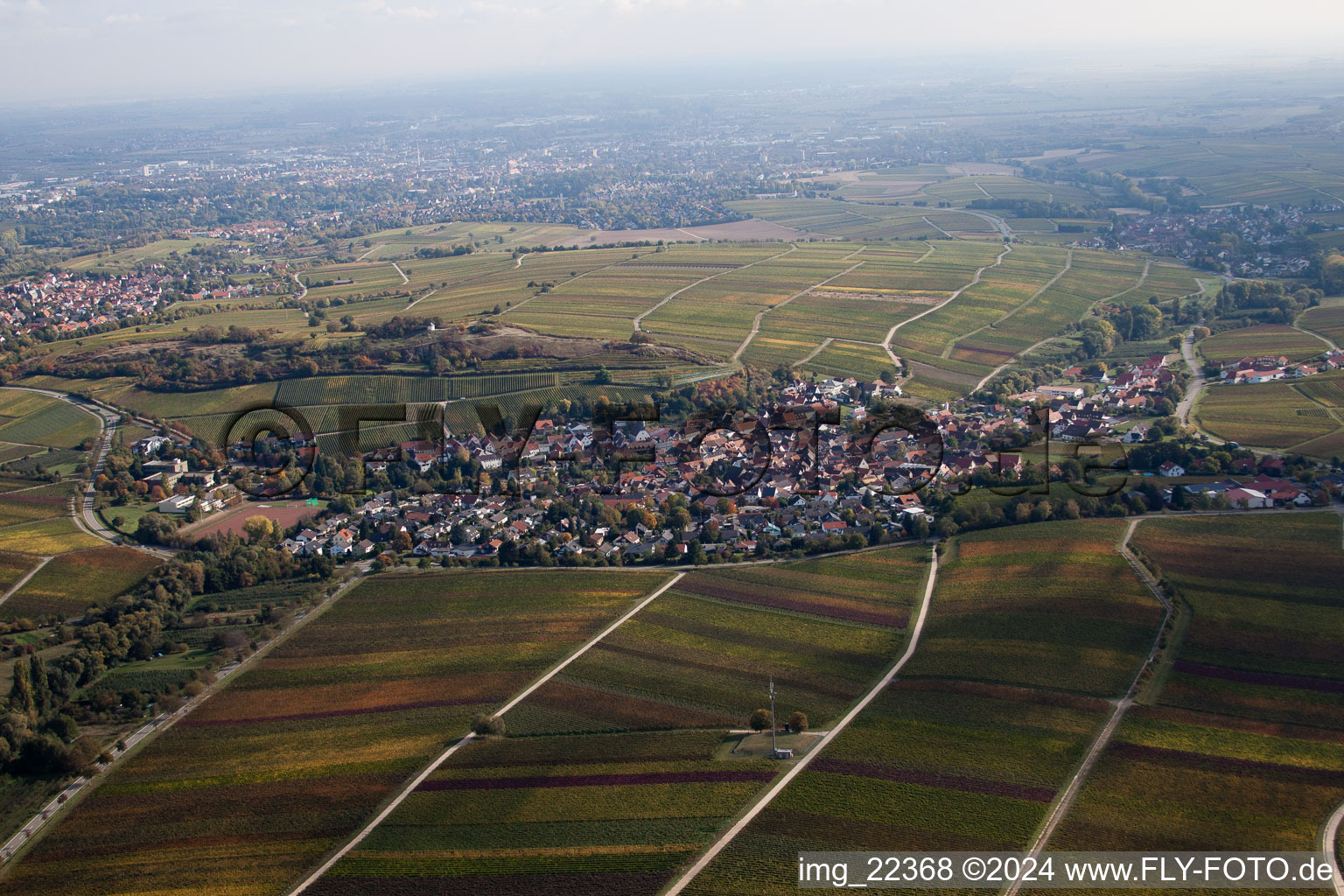 Ilbesheim bei Landau in der Pfalz im Bundesland Rheinland-Pfalz, Deutschland von einer Drohne aus