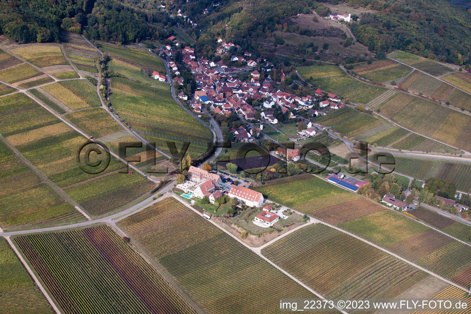 Luftaufnahme von Leinsweiler im Bundesland Rheinland-Pfalz, Deutschland