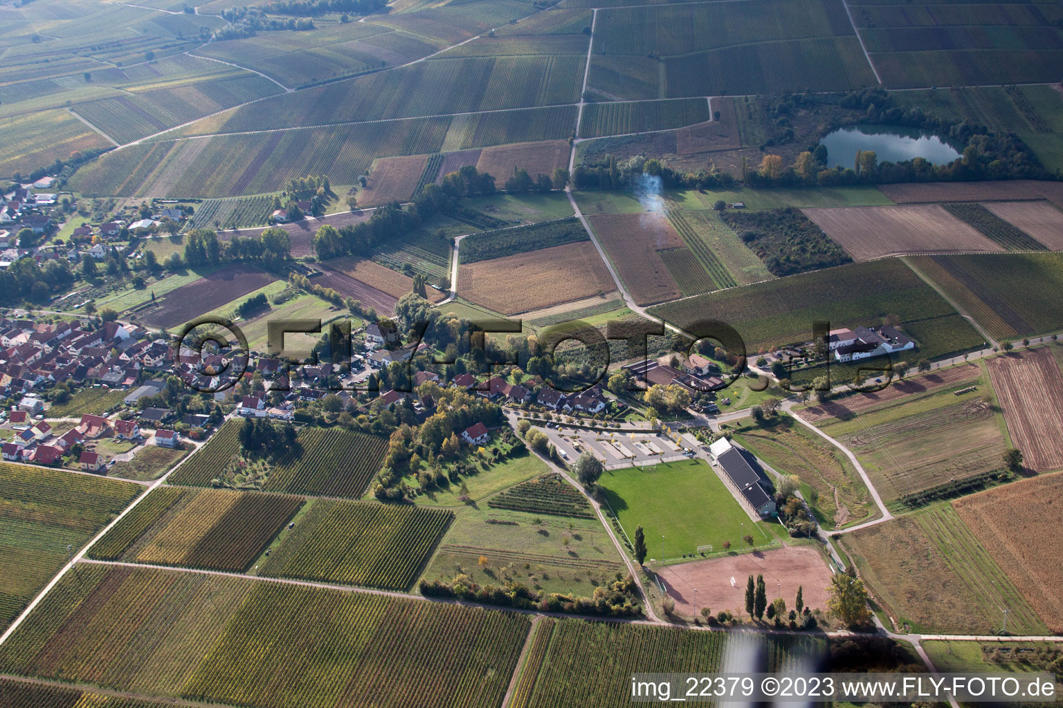 Göcklingen im Bundesland Rheinland-Pfalz, Deutschland aus der Drohnenperspektive