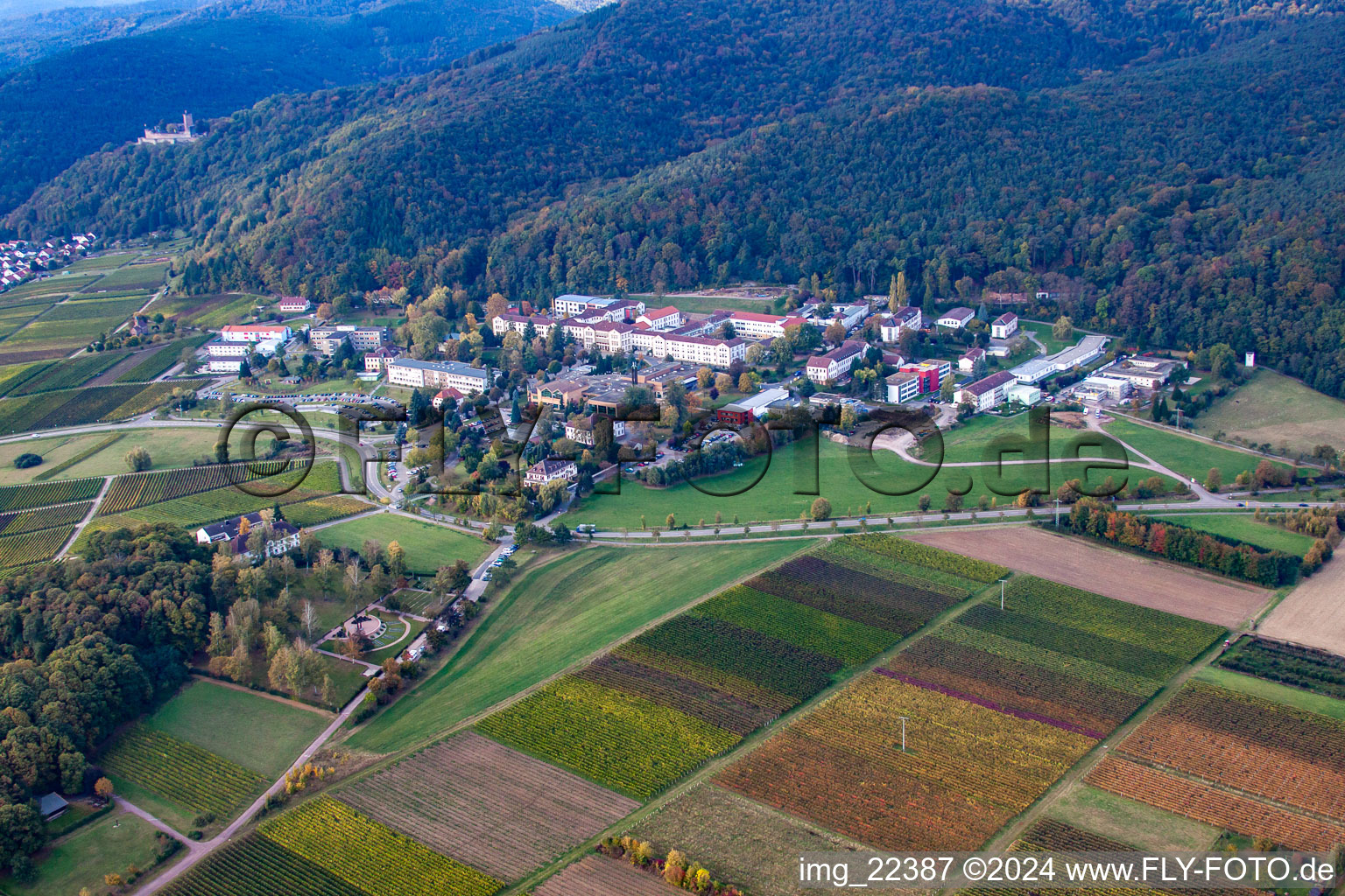 Schrägluftbild von Pfalzklinik in Klingenmünster im Bundesland Rheinland-Pfalz, Deutschland