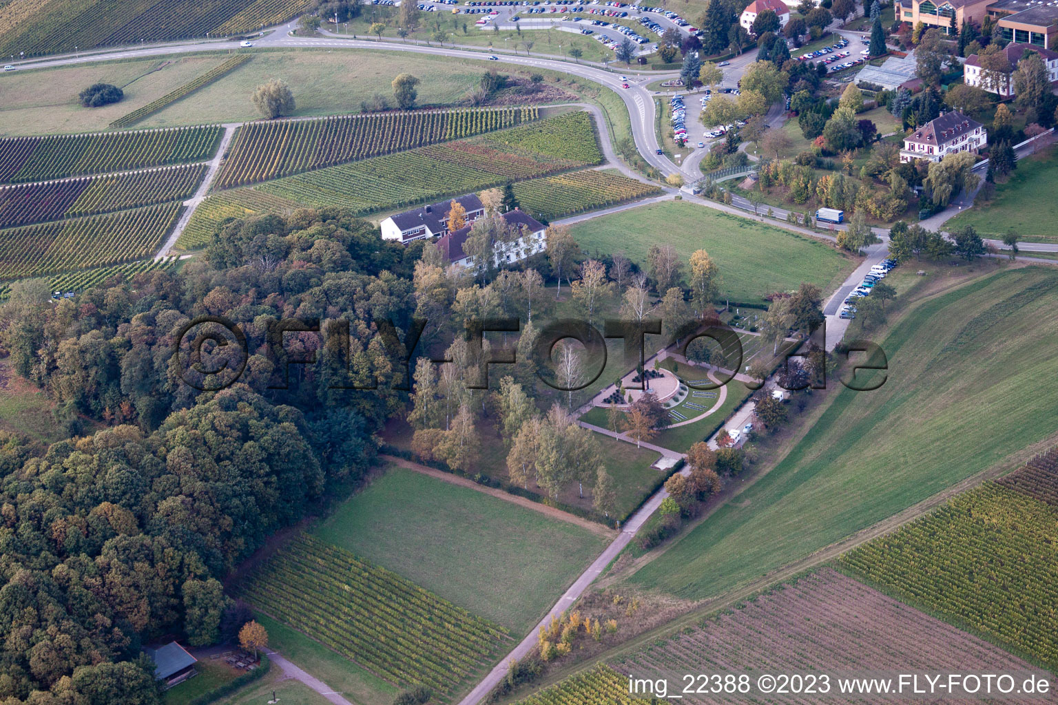 Klingenmünster im Bundesland Rheinland-Pfalz, Deutschland aus der Luft betrachtet