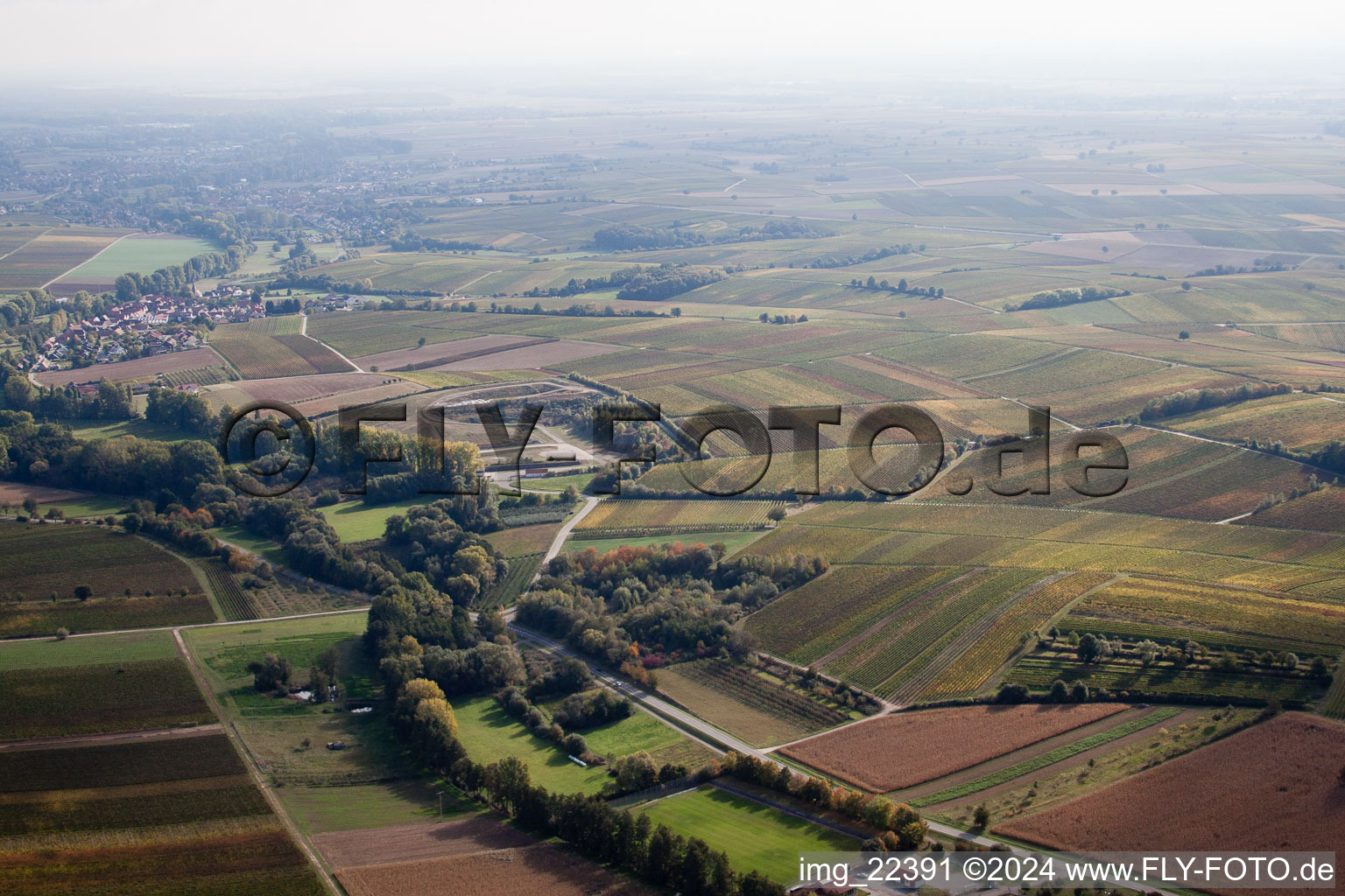 Drohnenbild von Klingenmünster im Bundesland Rheinland-Pfalz, Deutschland