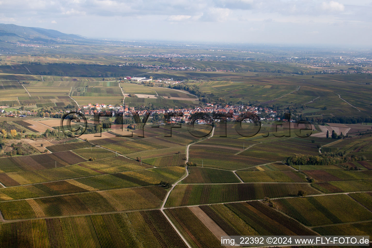 Klingenmünster im Bundesland Rheinland-Pfalz, Deutschland aus der Drohnenperspektive