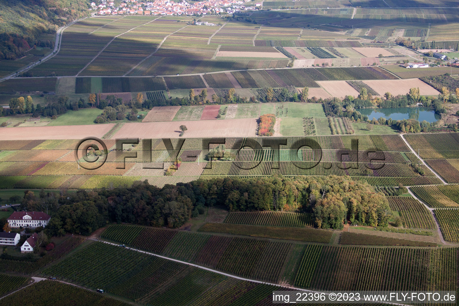 Klingenmünster im Bundesland Rheinland-Pfalz, Deutschland von einer Drohne aus