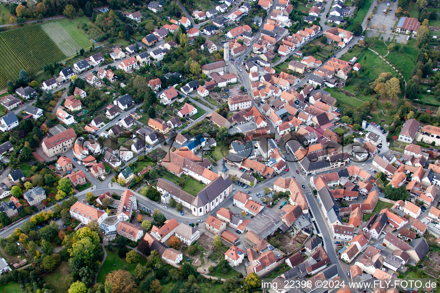 Klingenmünster im Bundesland Rheinland-Pfalz, Deutschland von der Drohne aus gesehen