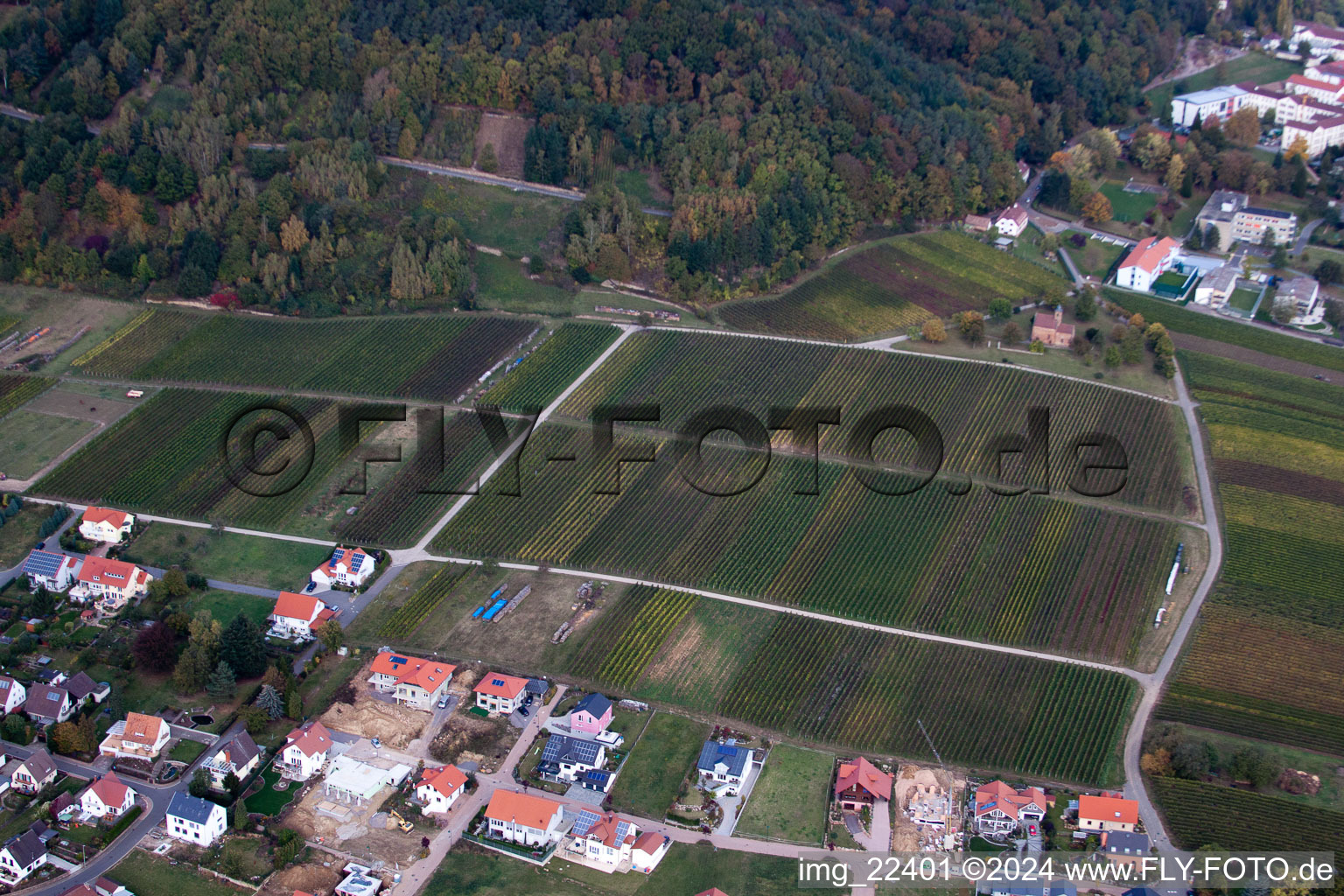 Luftbild von Klingenmünster im Bundesland Rheinland-Pfalz, Deutschland