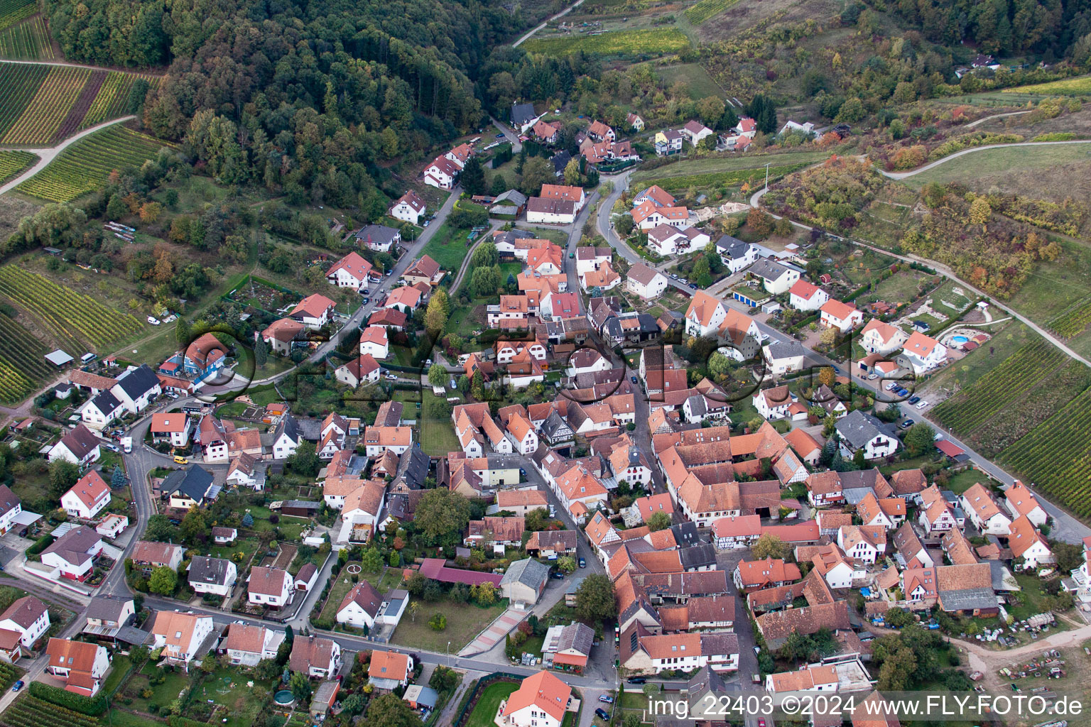 Dorf - Ansicht am Rande von landwirtschaftlichen Feldern und Nutzflächen im Ortsteil Gleishorbach in Gleiszellen-Gleishorbach im Bundesland Rheinland-Pfalz, Deutschland