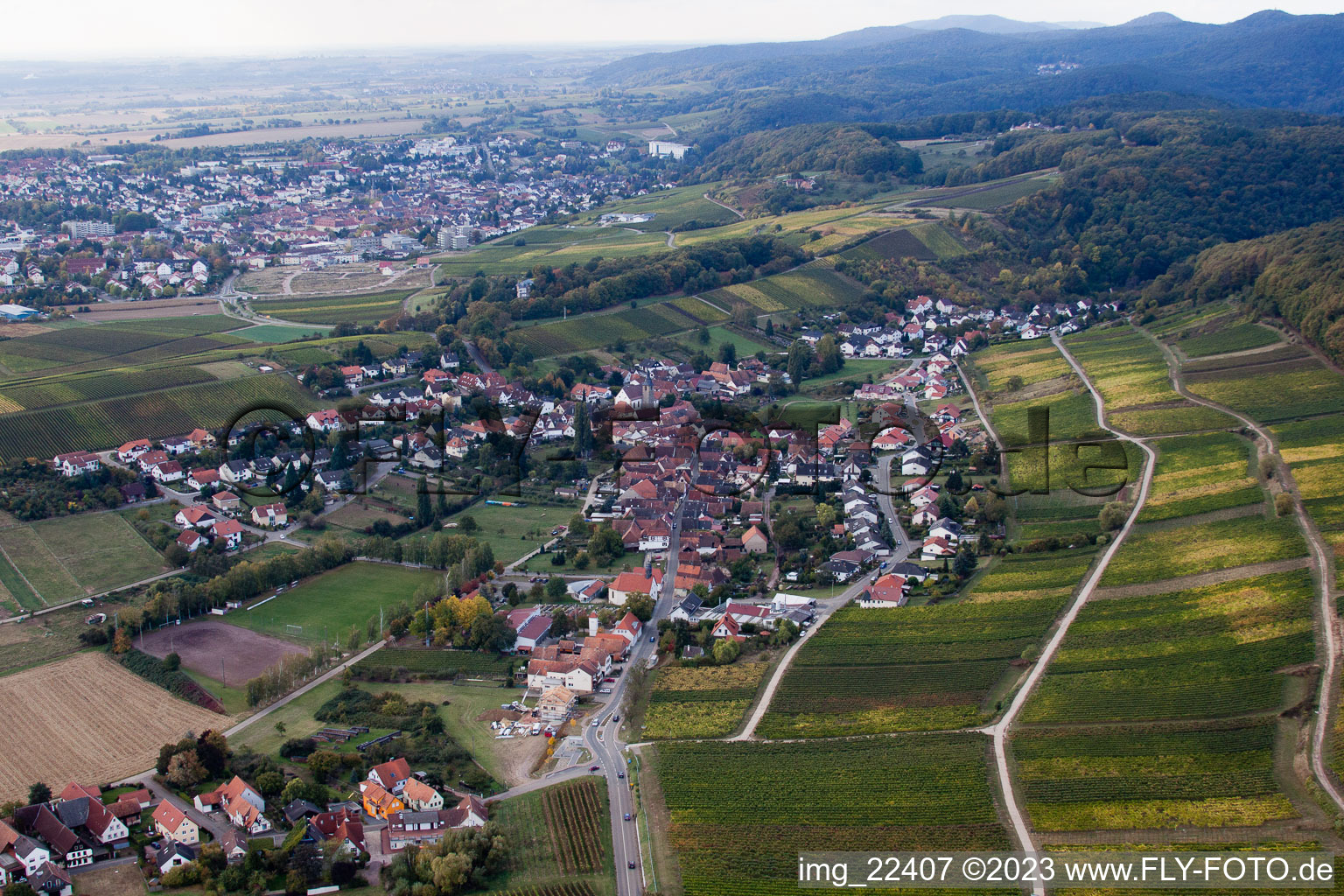 Schrägluftbild von Ortsteil Pleisweiler in Pleisweiler-Oberhofen im Bundesland Rheinland-Pfalz, Deutschland