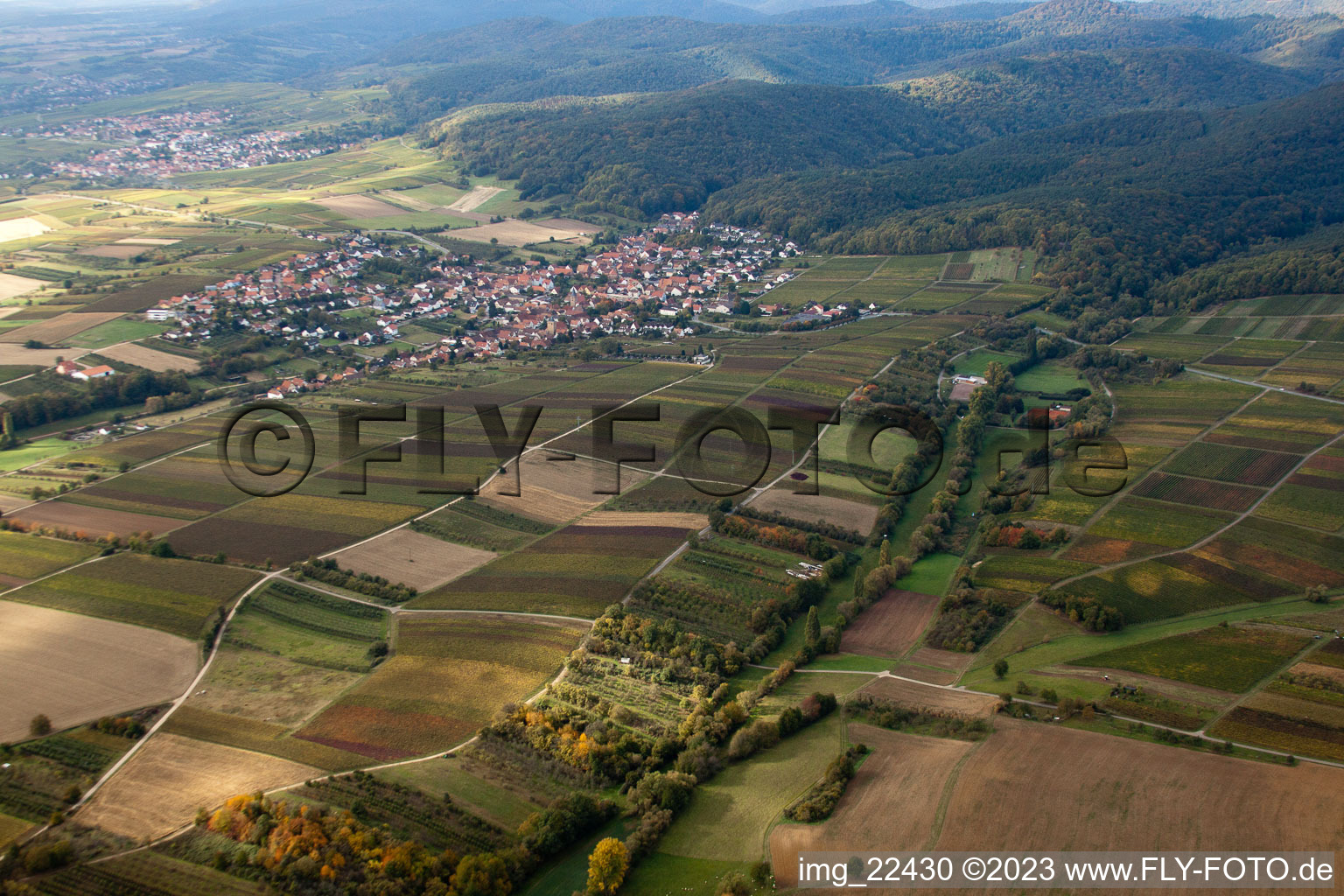 Oberotterbach im Bundesland Rheinland-Pfalz, Deutschland aus der Drohnenperspektive