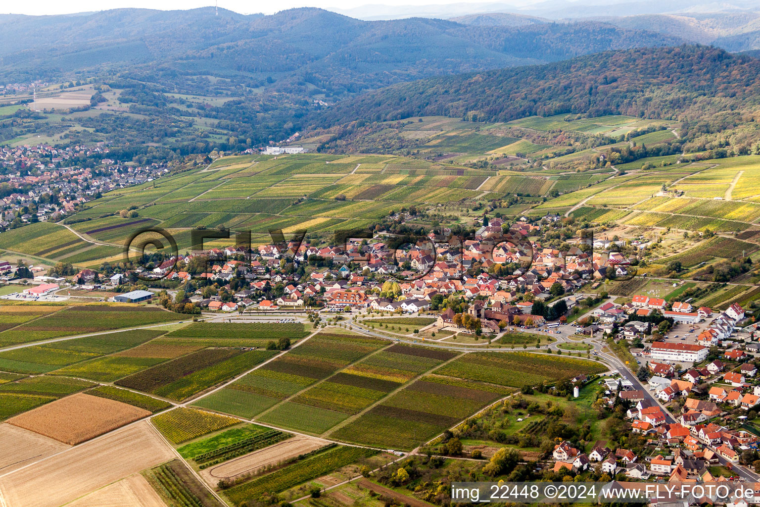 Luftaufnahme von Dorf - Ansicht am Rande von Weinbergen in Schweigen in Schweigen-Rechtenbach im Bundesland Rheinland-Pfalz, Deutschland