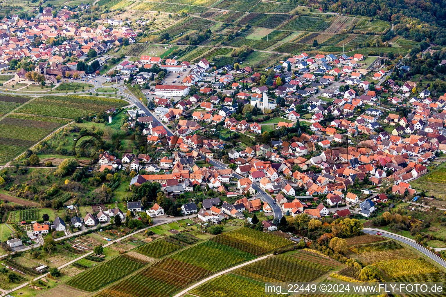 Schrägluftbild von Dorf - Ansicht am Rande von Weinbergen und Wald in Rechtenbach in Schweigen-Rechtenbach im Bundesland Rheinland-Pfalz, Deutschland