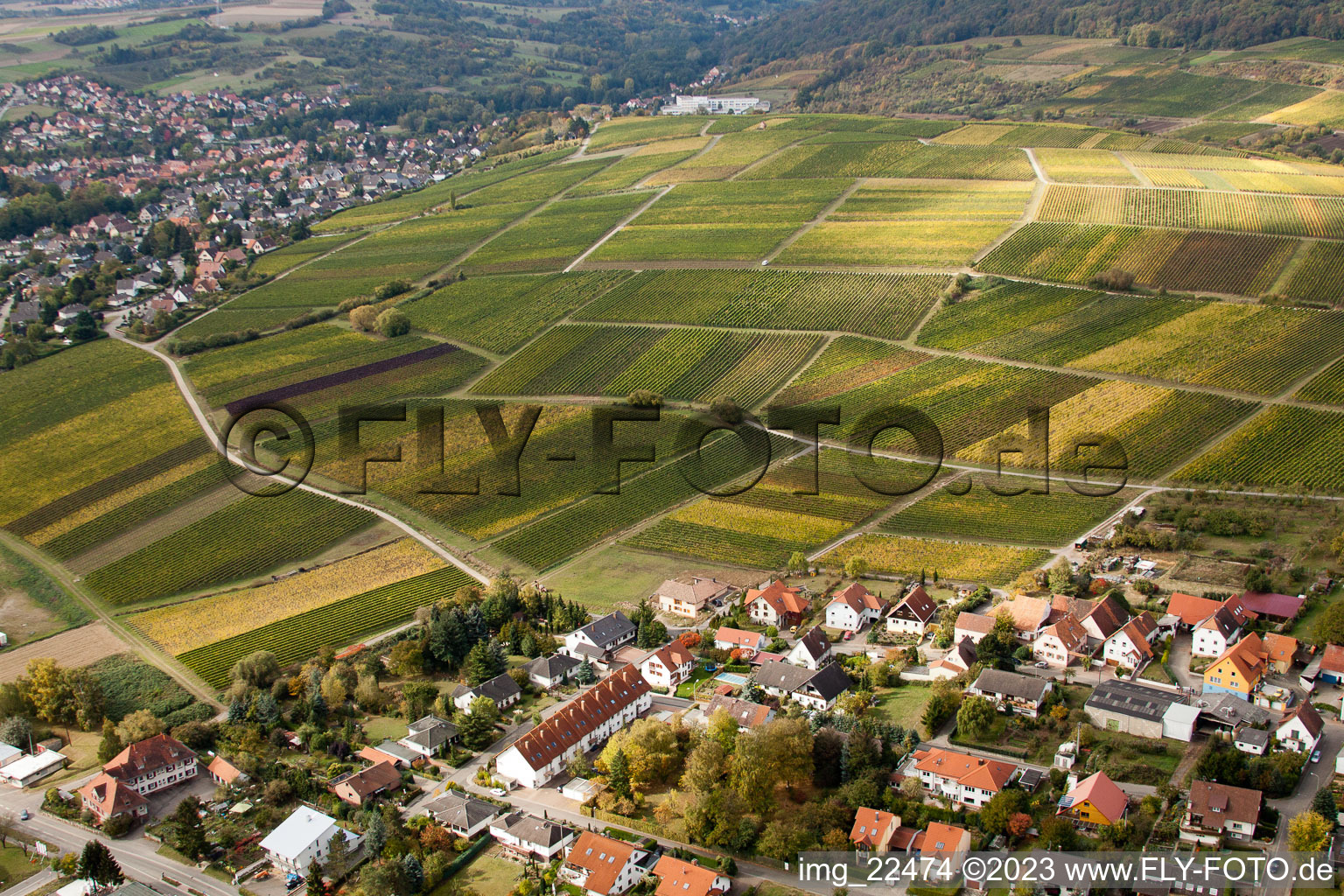 Drohnenaufname von Schweigen, Sonnenberg in Schweigen-Rechtenbach im Bundesland Rheinland-Pfalz, Deutschland