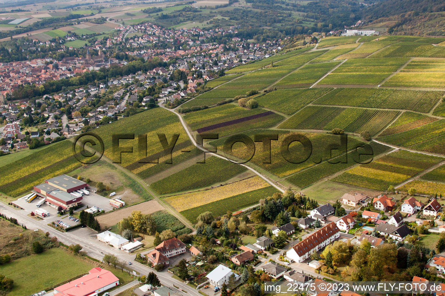 Drohnenbild von Schweigen, Sonnenberg in Schweigen-Rechtenbach im Bundesland Rheinland-Pfalz, Deutschland