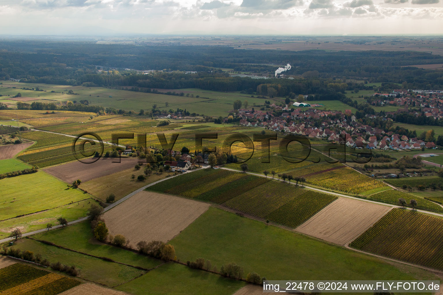 Schrägluftbild von Altenstadt im Bundesland Bas-Rhin, Frankreich