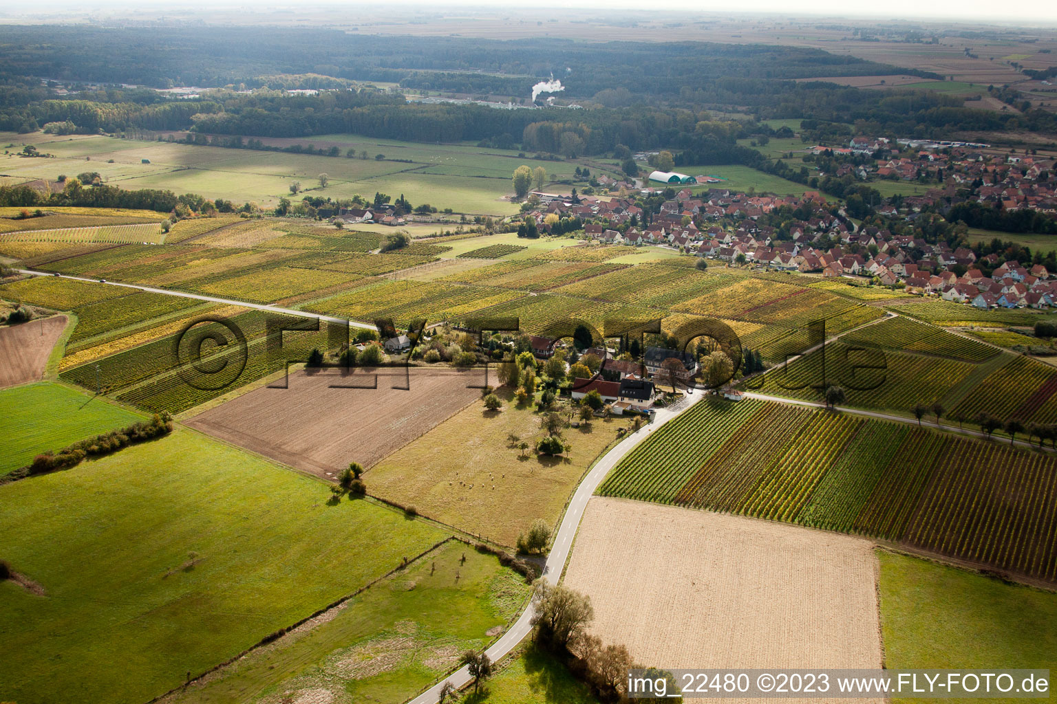 Schweighofen, Windhof im Bundesland Rheinland-Pfalz, Deutschland