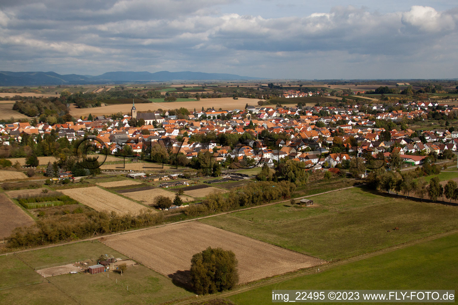 Schrägluftbild von Steinfeld im Bundesland Rheinland-Pfalz, Deutschland