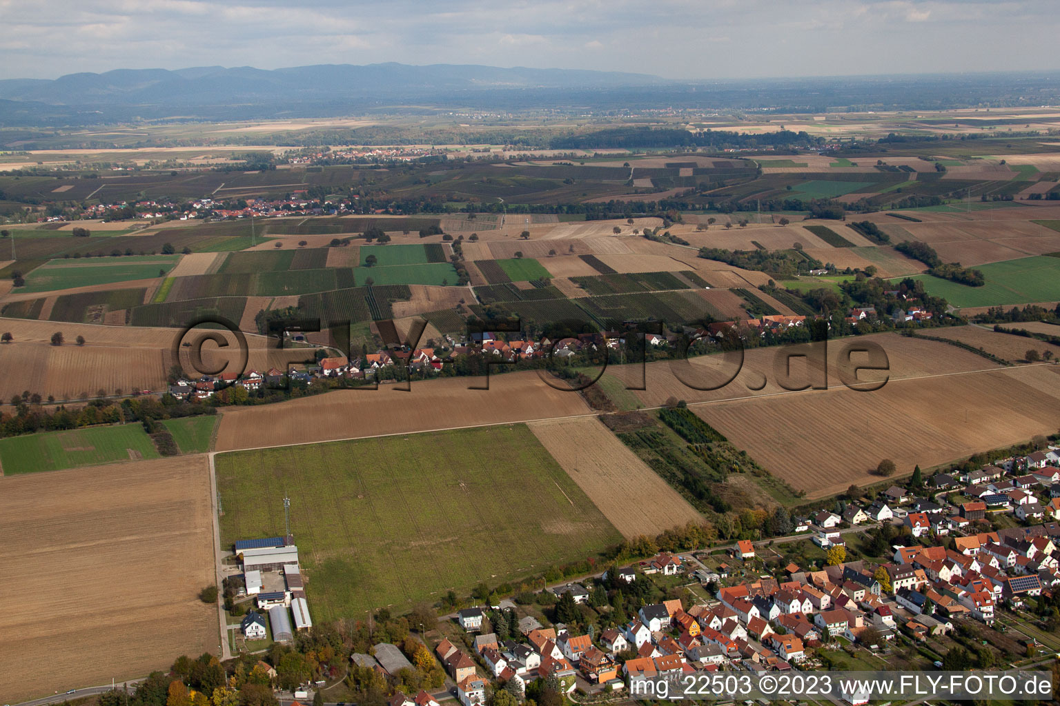 Ortsteil Schaidt in Wörth am Rhein im Bundesland Rheinland-Pfalz, Deutschland von der Drohne aus gesehen