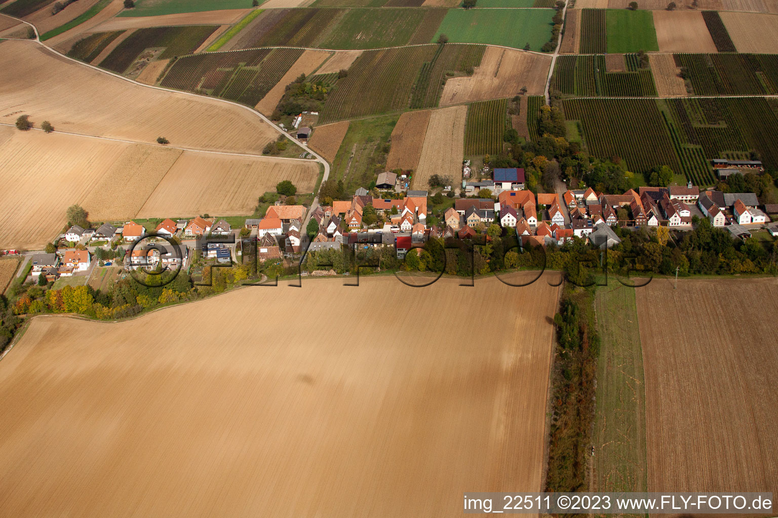 Vollmersweiler im Bundesland Rheinland-Pfalz, Deutschland aus der Drohnenperspektive